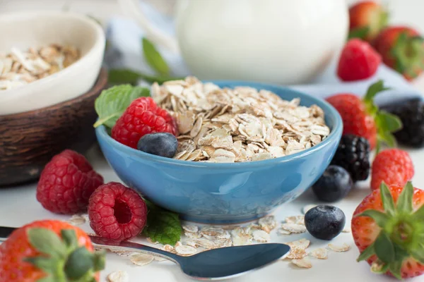 Rolled oats in a bowl with berries  and milk — Stock Photo, Image