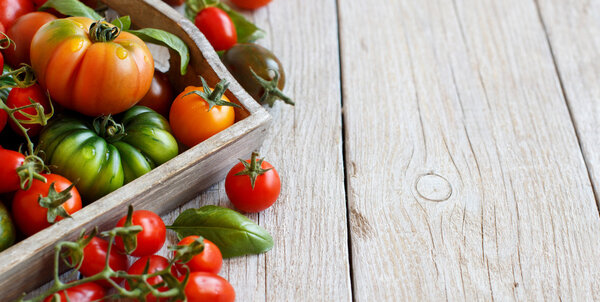 Colorful tomatoes on a wooden table