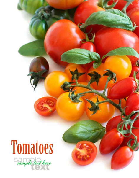 Tomates coloridos y albahaca — Foto de Stock