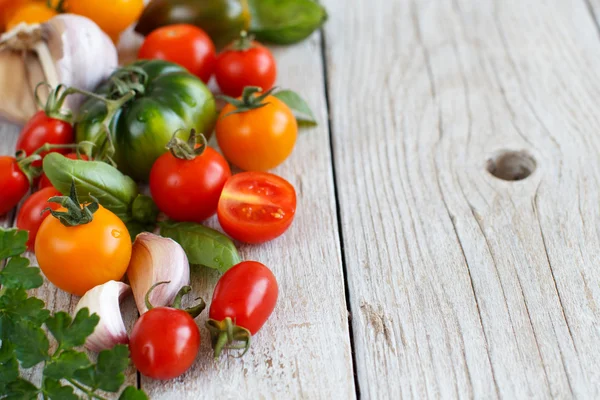 多彩的西红柿、 大蒜和香草 — 图库照片
