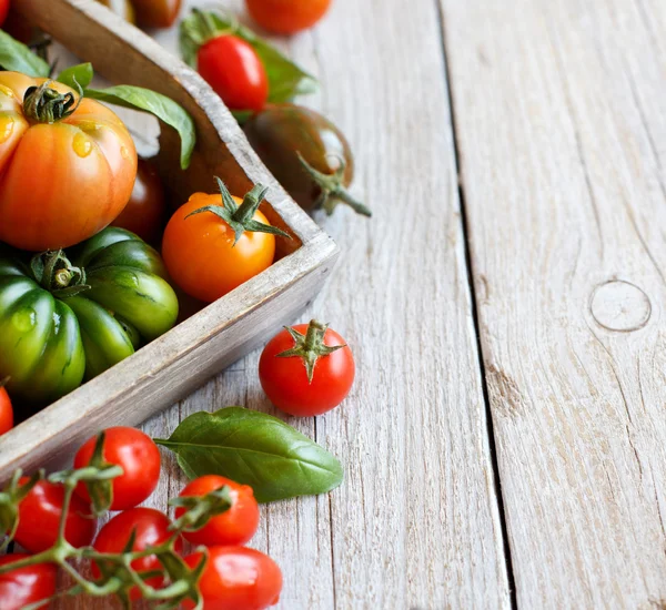 Tomates coloridos en una mesa de madera —  Fotos de Stock