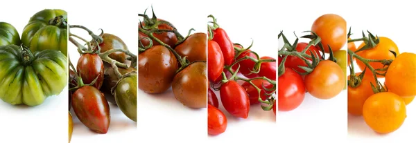 Colagem de tomates coloridos — Fotografia de Stock