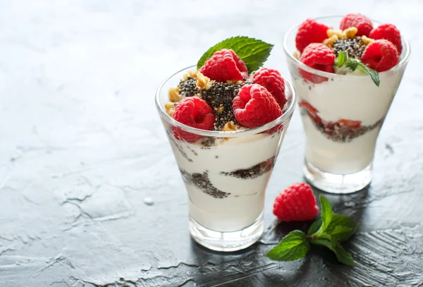 Jogurt s chia semena, vlašské ořechy a maliny — Stock fotografie