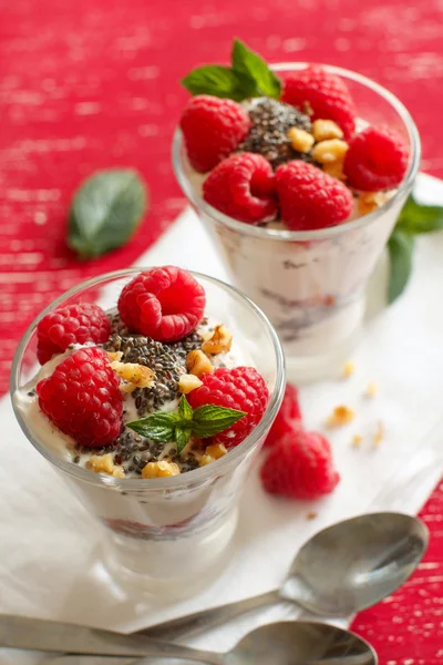 Jogurt s chia semena, vlašské ořechy a maliny — Stock fotografie