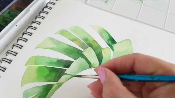 Mujer pintando hoja de plátano con acuarelas de cerca — Vídeos de Stock