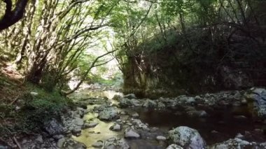 İtalya 'da yaz mevsiminde yeşil ormanda Calore nehri akıntısı