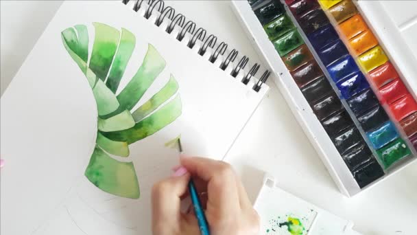 Женщина рисует банановый лист акварелью крупным планом — стоковое видео