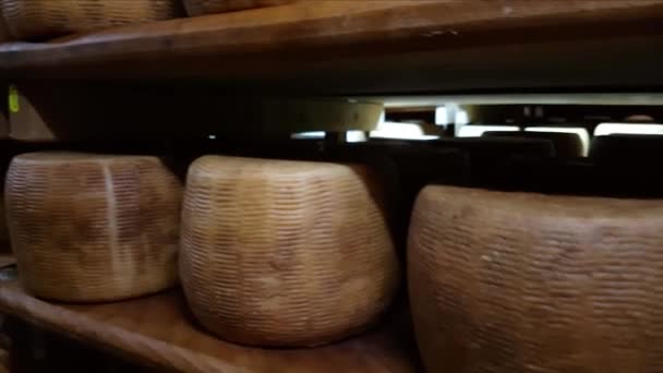 Hjul av ost på hyllorna i en mognande grotta — Stockvideo