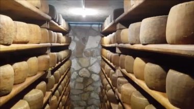 Olgunlaşan bir mağaranın raflarında peynir çarkları