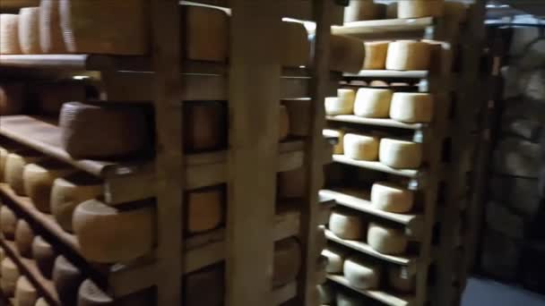 Ruedas de queso en los bastidores de una cueva en maduración — Vídeos de Stock