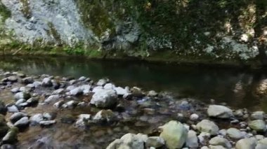 İtalya 'da yaz mevsiminde yeşil ormanda Calore nehri akıntısı