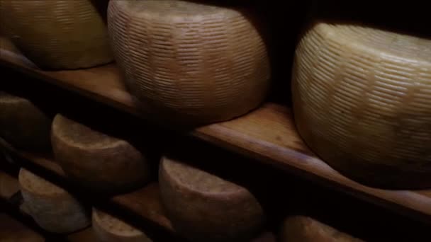 Roues de fromage sur les râteliers d'une grotte en maturation — Video