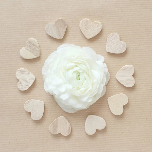 Cream Ranunculus Flower Circle Hearts Beige Paper Top View — Stock Photo, Image