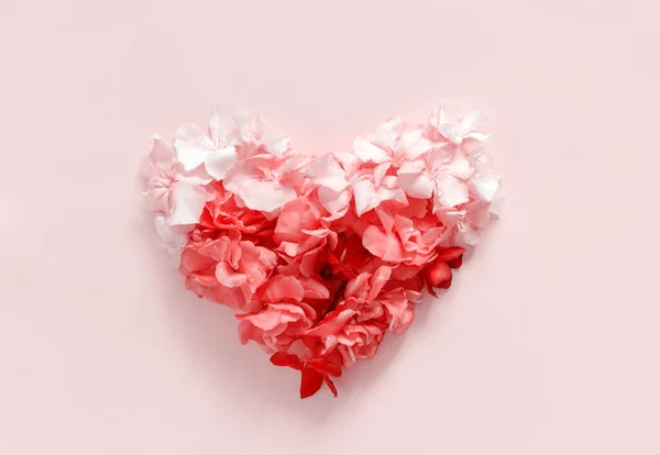 Corazón Hecho Flores Rosadas Vista Superior Sobre Fondo Rosa Claro —  Fotos de Stock