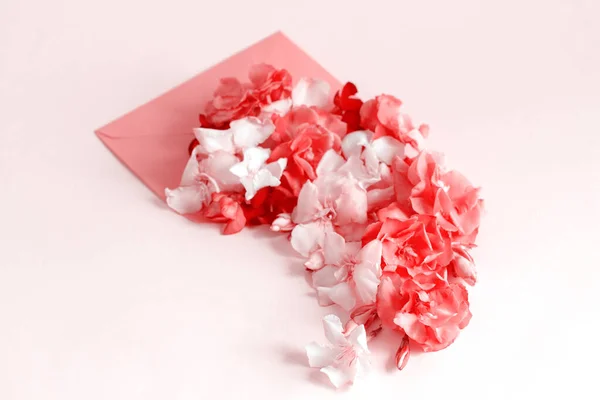 Κόκκινος Φάκελος Γεμάτος Λουλούδια Ροζ Φόντο Από Κοντά — Φωτογραφία Αρχείου