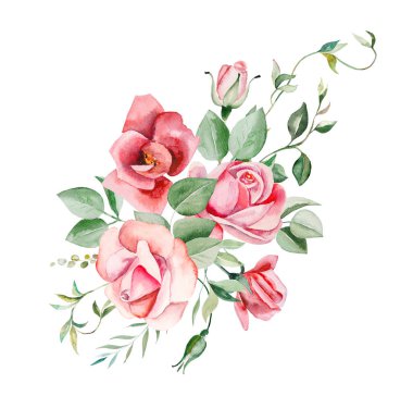 Suluboya pembe güller çiçek ve yapraklar izole edilmiş.