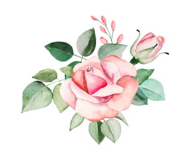 Suluboya pembe güller çiçek ve yapraklar izole edilmiş.