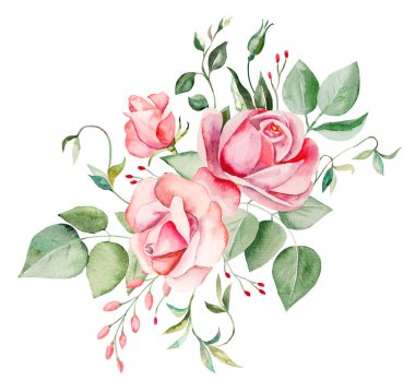 Suluboya pembe güller çiçek ve yapraklar izole edilmiş.