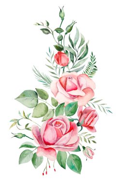 Suluboya pembe güller çiçek ve yapraklar izole edilmiş.