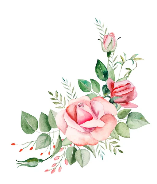 Suluboya pembe güller çiçek ve yapraklar izole edilmiş.