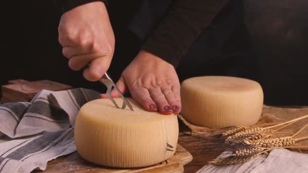 Les Mains Des Femmes Enlèvent Des Morceaux Fromage Frais Fait — Video