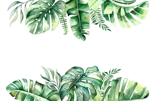 Watercolor Folhas Tropicais Fronteira Ilustração — Fotografia de Stock