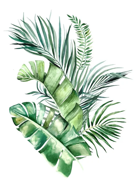 Acquerello Tropicale Foglie Bouquet Illustrazione — Foto Stock