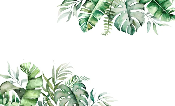 Акварель Тропических Листьев — стоковое фото