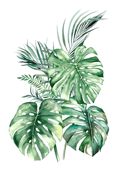 Acquerello Tropicale Foglie Bouquet Illustrazione — Foto Stock