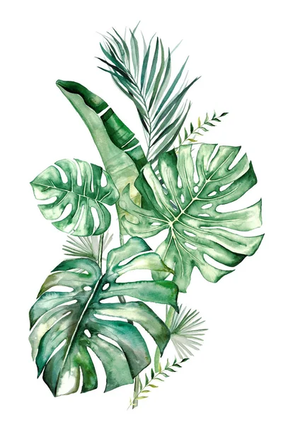 Acquerello Tropicale Foglie Bouquet Illustrazione — Foto Stock