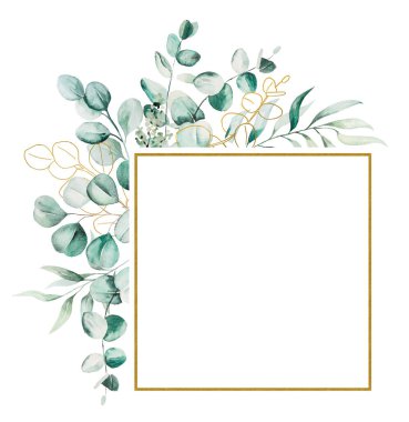 Suluboya okaliptüs çerçeve çizimini terk ediyor