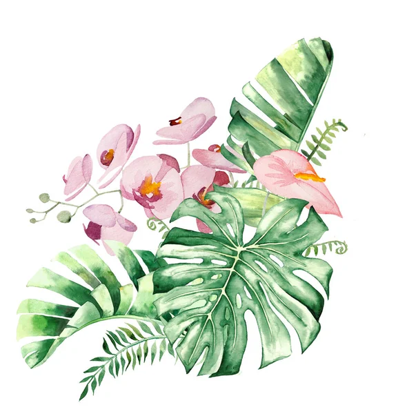 Acuarela Flores Tropicales Hojas Ramo Ilustración —  Fotos de Stock