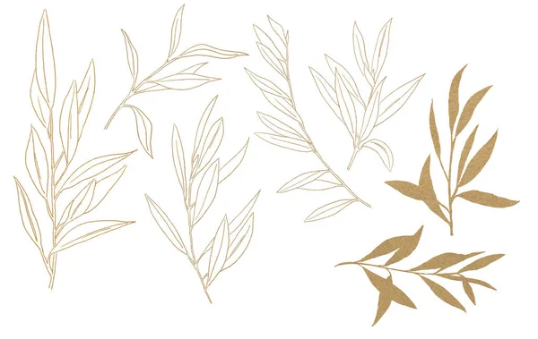 Acquerello Golden Olive Branched Illustrazione Isolato — Foto Stock