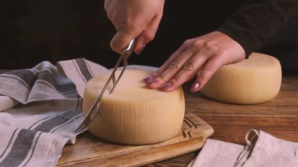 女性はチーズナイフを閉じ木の板に新鮮な自家製チーズのホイールをカット — ストック動画