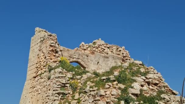 Saracenen Toren Puglia Italië — Stockvideo