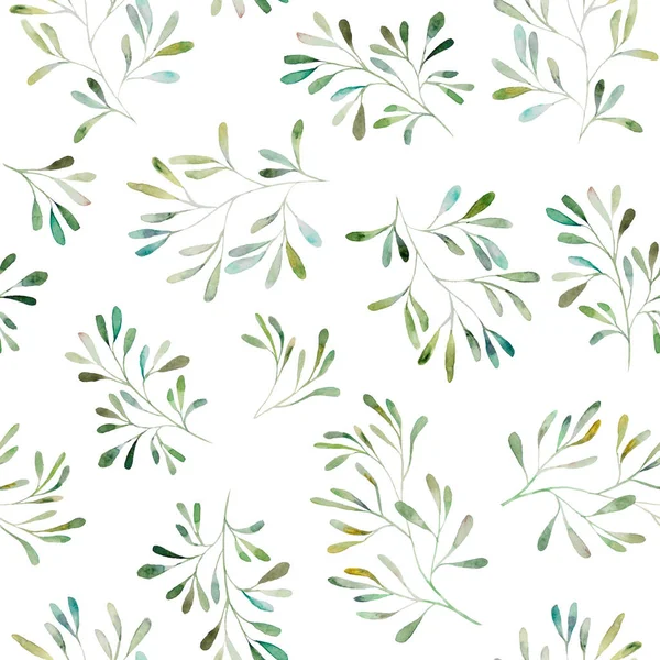 Watercolor Botanical Leaves Seamless Pattern Illustration Set Isolated — Stock Photo, Image
