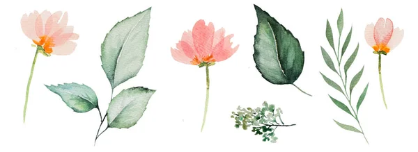 Aquarelle Fleurs Roses Feuilles Vertes Illustration Ensemble Isolé — Photo