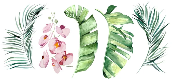Aquarelle Feuilles Tropicales Fleurs Ensemble Illustration Isolé — Photo