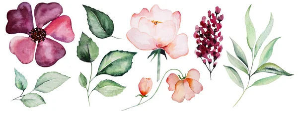 Akvarell Rosa Och Lila Blommor Och Gröna Blad Illustrationer Isolerade — Stockfoto