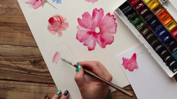 Peinture Fleur Rose Avec Aquarelles Gros Plan — Video