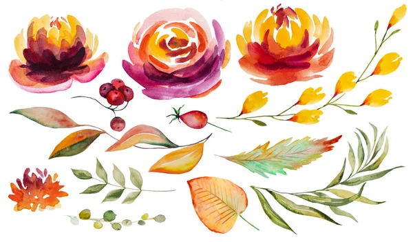 Höst Akvarell Samling Med Orange Och Röda Blad Och Blommor — Stockfoto