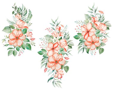 Watercolor pink flowers and green leaves bouquets illustration isolated