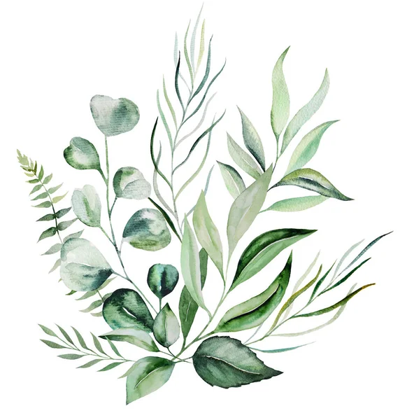 Watercolor Botanical Green Leaves Bouquet Illustration Isolated — Stockfoto