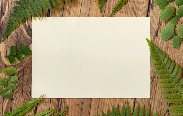 Blank Paper Card Wooden Table Decorated Fern Leaves Top View — Stock Photo, Image