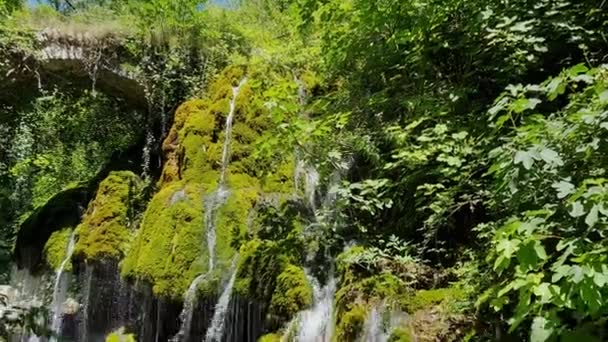 Wasserfall Namens Venushaar Der Nähe Von Casaletto Spartano Cilento Italien — Stockvideo