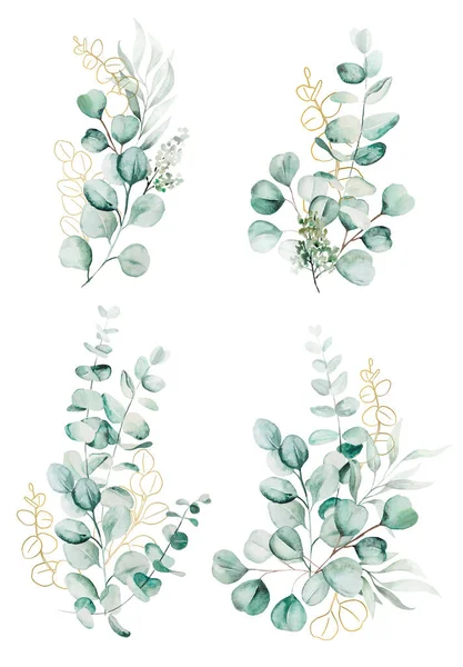 Aquarelle Eucaliptus Branches Feuilles Bouquets Illustration Isolé — Photo