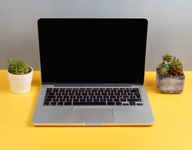 Dizüstü bilgisayarı ve sarı masasında sulu bitkileri olan rahat minimalist iş yeri, bilgisayar ekranında tasarım için model. Web sitesi ya da masadaki reklam için yeri olan modern taşınabilir bilgisayar. Çevrimiçi iş, eğitim