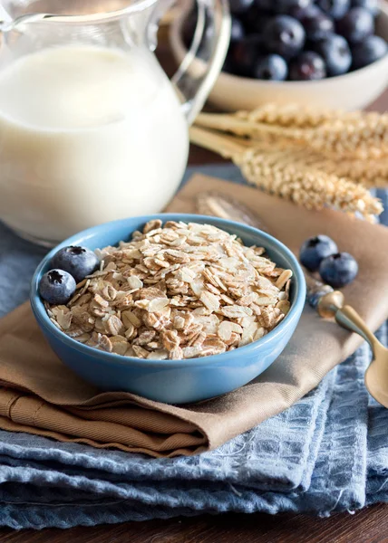 Avena enrollada en un bol —  Fotos de Stock