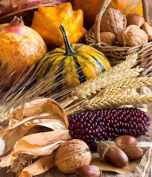 Harvest composition — Stock Photo, Image