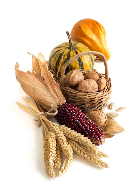 Harvest composition — Stock Photo, Image